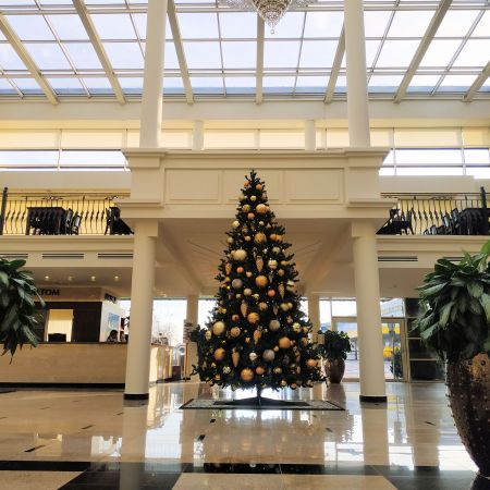 After Christmas Stays